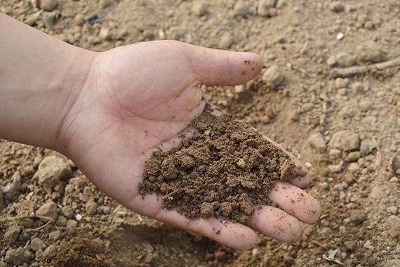Geneva College Chemistry Society Accepts Soil Test Samples